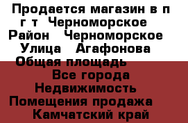 Продается магазин в п.г.т. Черноморское  › Район ­ Черноморское › Улица ­ Агафонова › Общая площадь ­ 100 - Все города Недвижимость » Помещения продажа   . Камчатский край